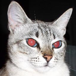 dagger2000's profile picture. 