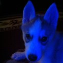 Shaun Rutherford - @91Rutherford - Twitter