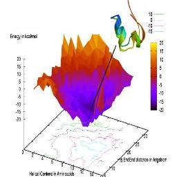 Our lab develops  enhanced sampling techniques and applies them to  computational studies of protein folding, interaction and aggregation.