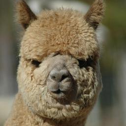 FarmExperience's profile picture. Pick some apples at a local orchard, enjoy the county fair, carve some pumpkins, pet an alpaca...the list goes on. Enjoy our agricultural tourism fun!