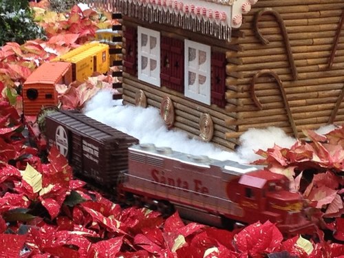 shout4Merica's profile picture. God & Country #Constitution #ProIsrael #ProLife Must Take Our Country Back Out Of Obamas Clutches! Back-up Acct4 @shout4ztruth