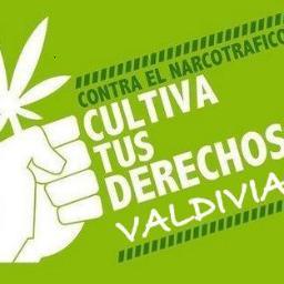 ¡Contra el Narcotráfico! Cultiva Tus Derechos Valdivia luchando por la despenalización del autocultivo de marihuana en Chile.