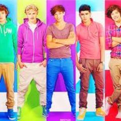 naci el dia 29 de diciembre y mis idolos son one direction en especial niall horan me encanta y lo amo