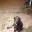 elvin roman - @ElvinElvinrg - Twitter