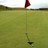 steve_nalder's profile image
