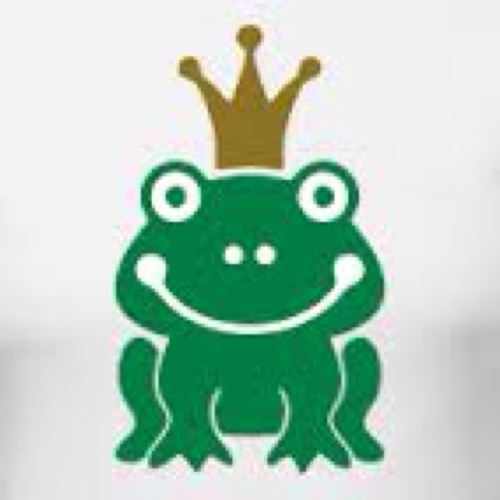 ひまつぶしROM専