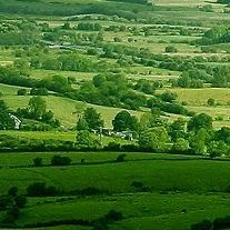 johnlyonscpa's profile picture. CPA, tax law specialist, online accounting for small businesses