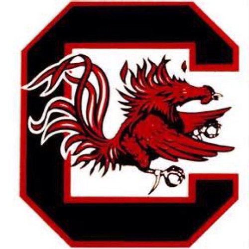 Husband, father, and Gamecock fan. Amazed at every day.
