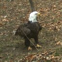 Glenn Rush - @Resq63 - Twitter