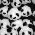 StackOverflowPandas (@pandasoverflow) Twitter profile photo StackOverflowPandas (@pandasoverflow) Twitter profile photo