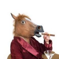 Princeton Horse (@princetonhorse) 's Twitter Profile
