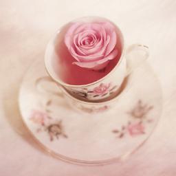 KathrynAlbrecht's profile picture. 