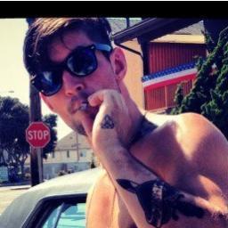 OCardosoMiguel's profile picture. 