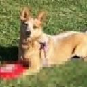 Mike Romo - @MIKER520 - Twitter