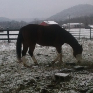 josh_smedley's profile picture. 