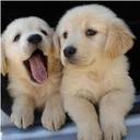 krishnaprasad590 (@590krishna) Twitter