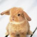 Daisy Ferguson  - @Iamqueendaisy - Twitter