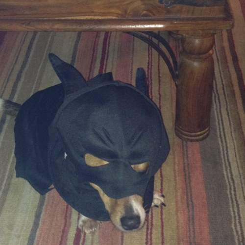 anniebannieb's profile picture. From Irvine Scotland. Paramedic,