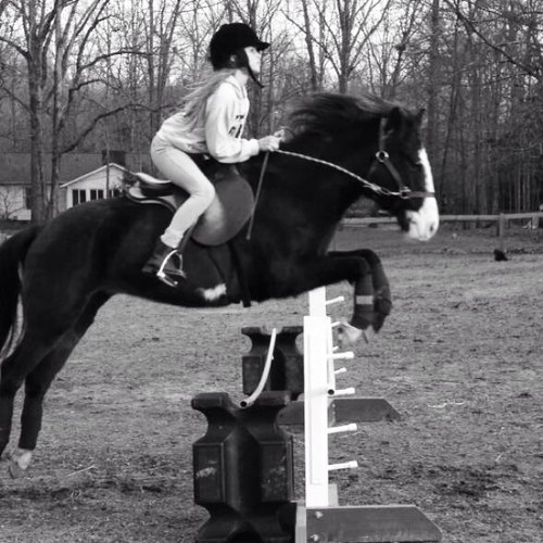 Hi there!(: 
12 years young✌
Live~love~horses
3' horse jumper!
Cheerleader
Vegetarian
I am nee to twitter so please follow me!