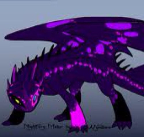 Im Nightmare friend of the TMNT's and donnies pet. I am a girl.