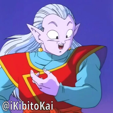 Hi there! I'm the Potora Fusion of the Supreme Kai and Kibito, Kibito Kai. I'm the overseer of the universe. #DragonBallZ [Parody]