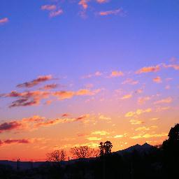 風景、花の写真を武蔵野市を中心に撮っています。
よろしくお願いします。
