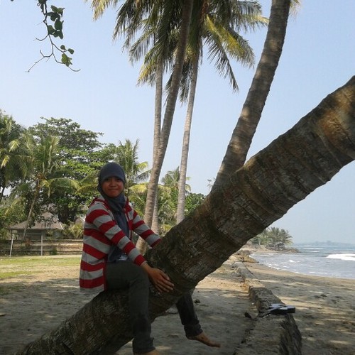 SriZulaili's profile picture. always try more better..