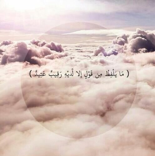 sal_0's profile picture. اللهم أغنني بفضلك عمن سواك