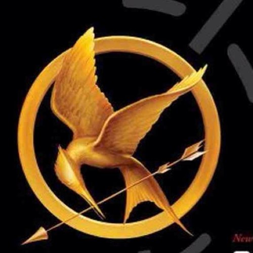 readinghg's profile picture. aussie #tribute, love the #hungergames, cant't wait for #catchingfire