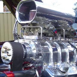 philltrace's profile picture. Here to help and meet new people.