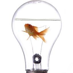 A youngster trying to be 'Innovative'. May be a fool to many but trying to take or express small creative steps to make the future of our society bright.