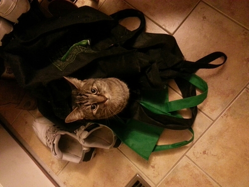 JThor88's profile picture. 