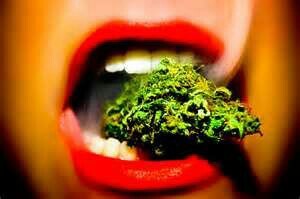 Stay pretty, Stay stoned. ✌ #420 #StonerNation #GirlsSmokeToo #OneLove #TGOD #TeamFollowBack #TeamTaken #TeamTatted #SmokeOne