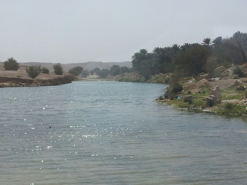 ayoobmohd's profile picture. بلى، ولكن لا غني لي عن بركاتك!