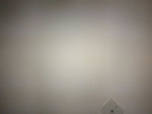 conia21sonni's profile picture. 