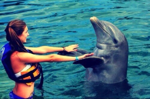 NOW FOLLOW = NOW FOLLOWBACKK 33 
RT Voor Ava Gooien of Vraag maar of we het gooien!
