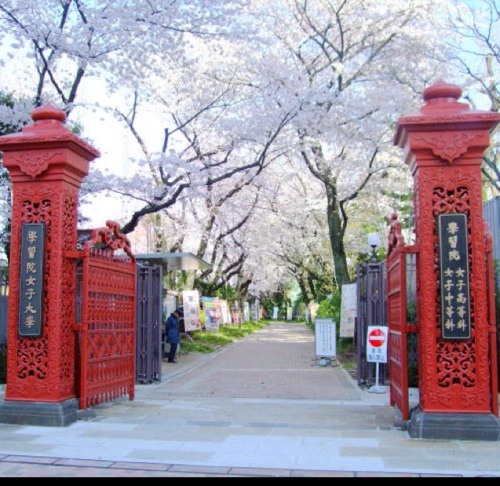 学習院女子大学雅祭実行委員会です🌸 雅祭では新入生の皆さんが一日も早く学習院女子大学に馴染めるよう、様々なイベントを企画しています♡ 雅祭実行委員も募集中です❣ 📩miyabi2024.gwc@gmail.com