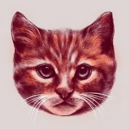 robotrockx's profile picture. 