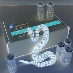 Alpha biotoxine is specialized in the production and distribution of #venom and purified #toxins for #research and #pharmaceutical industry.