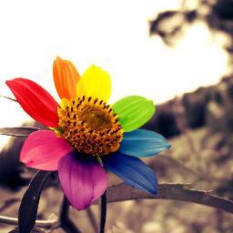 love sunshine~
