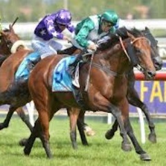 Premium betting advice