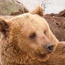 Roger Smith - @rogerssmith37 - Twitter