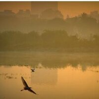 Subbu (@subbul) 's Twitter Profile
