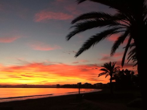 Newlifezozo's profile picture. 