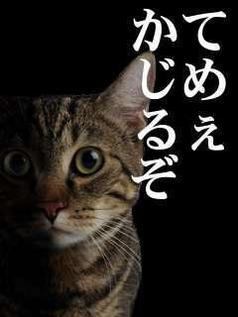 漫画、小説が好きです～！