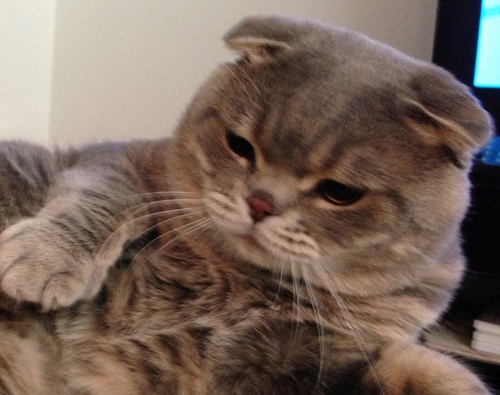 358Modelcar's profile picture. 