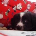 rafaela martinez  - @rafaela52880047 - Twitter