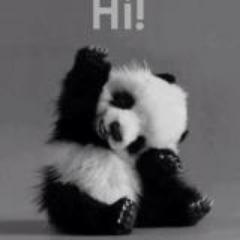 hi?