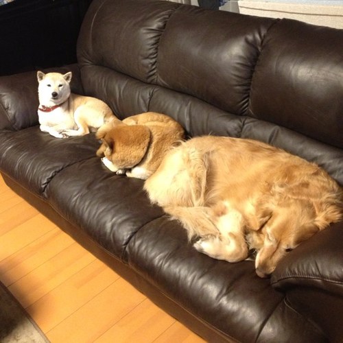 小林勇太 Ykhagkkkkl Twitter