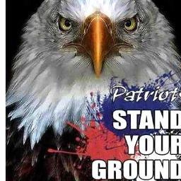 We support Conservative values, we LOVE &support our troops, and we stand ready to defend the Constitution & we stand with Israel.